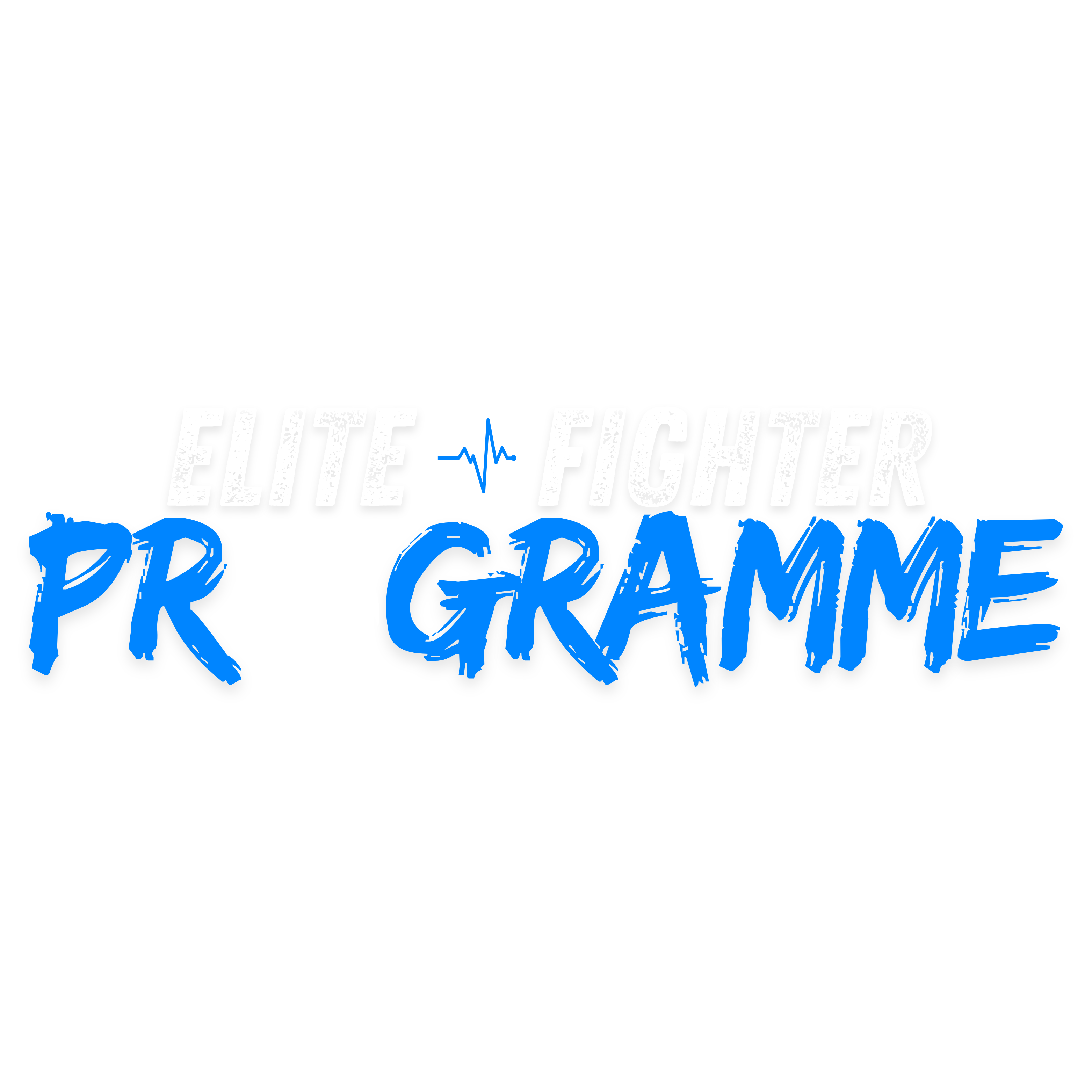 Elite Fighter Programme